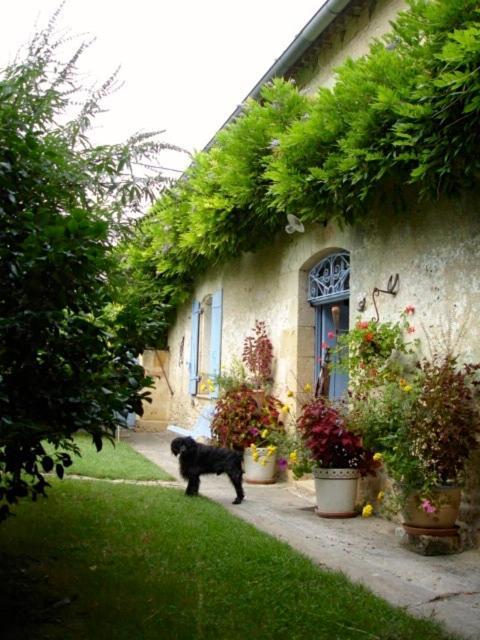La Petite Provence De Touron Bed and Breakfast Pujols  Εξωτερικό φωτογραφία